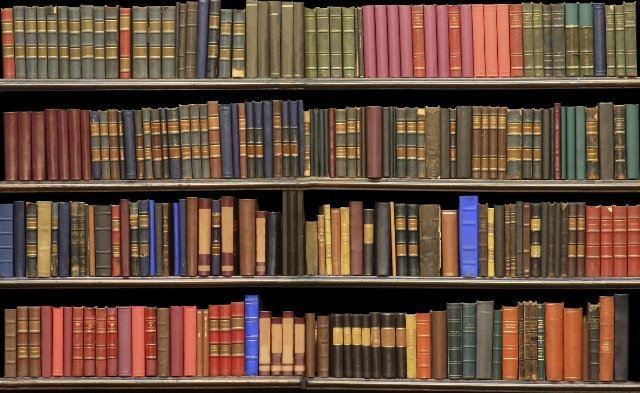 shelves.jpg